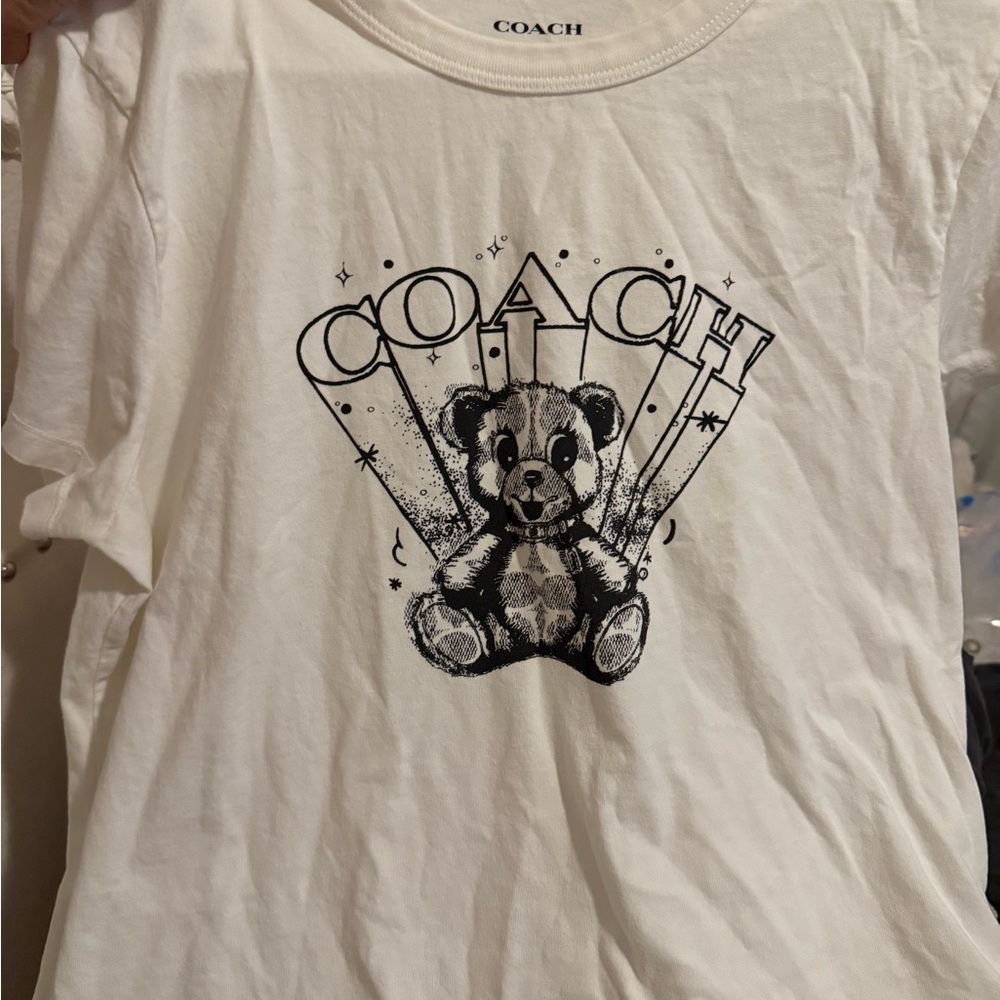 Play Bear T Shirt In Organic Cotton